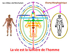 Orbes et chakras