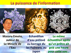 Information