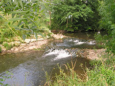 Rivière de la Seudre