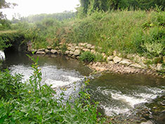 Rivière de la Seudre