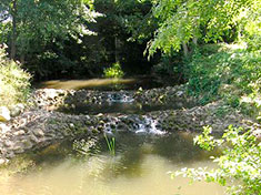 Rivière de la Seudre